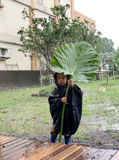 大自然就是最好的雨傘