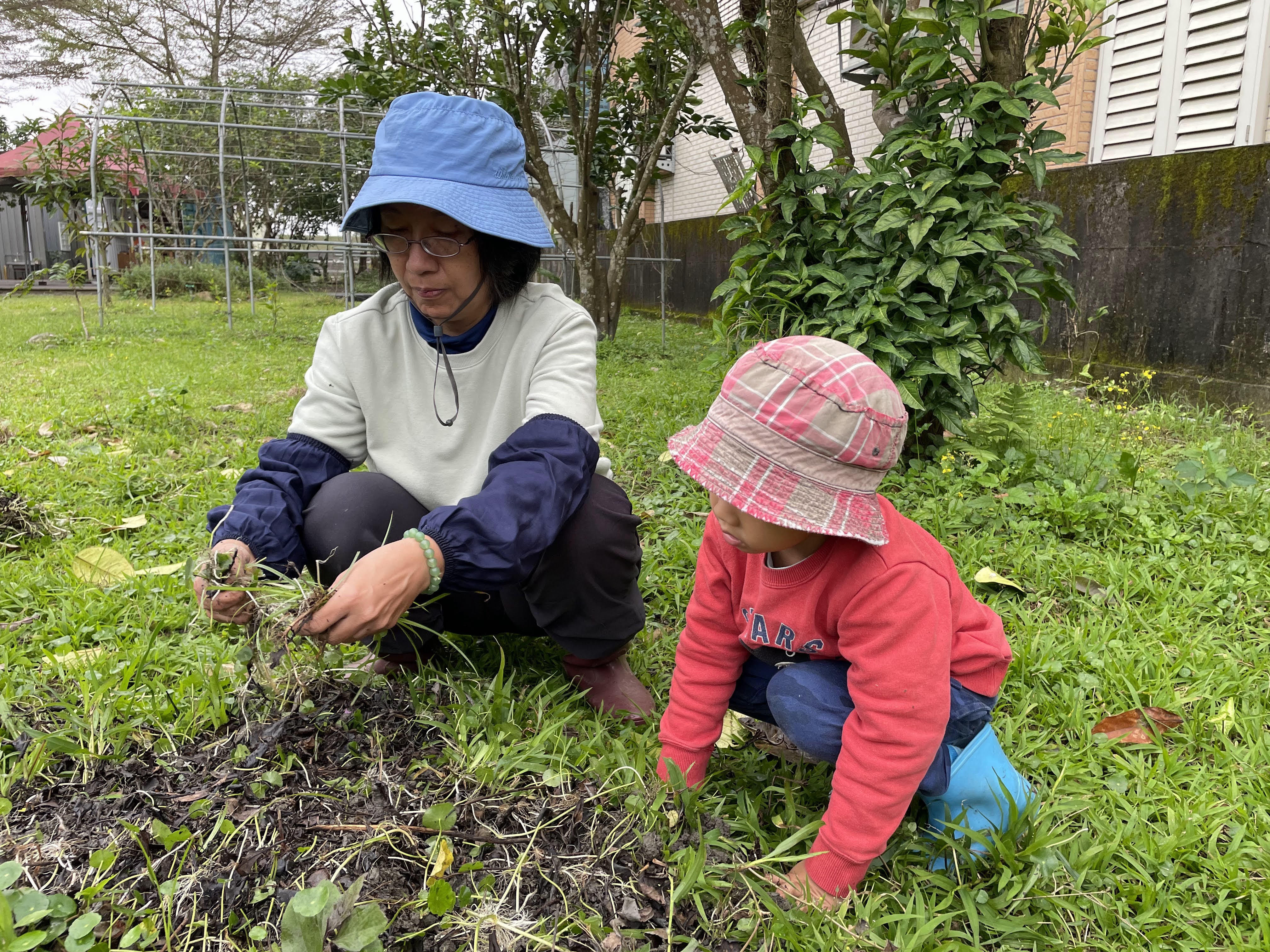 照顧菜園與土地工作